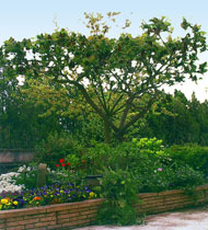 Le clos de Louze Auberives sur Varèze